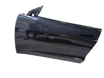Tesla modelY model3 door