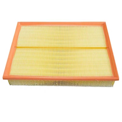 Land Rover Range Rover Sport Executive Freelander 2 Air Filter
